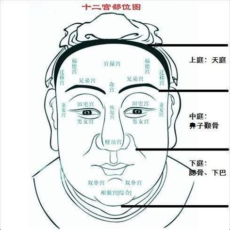 60歲面相|【60歲面相】60歲面相大揭密！你的未來運勢一目瞭然